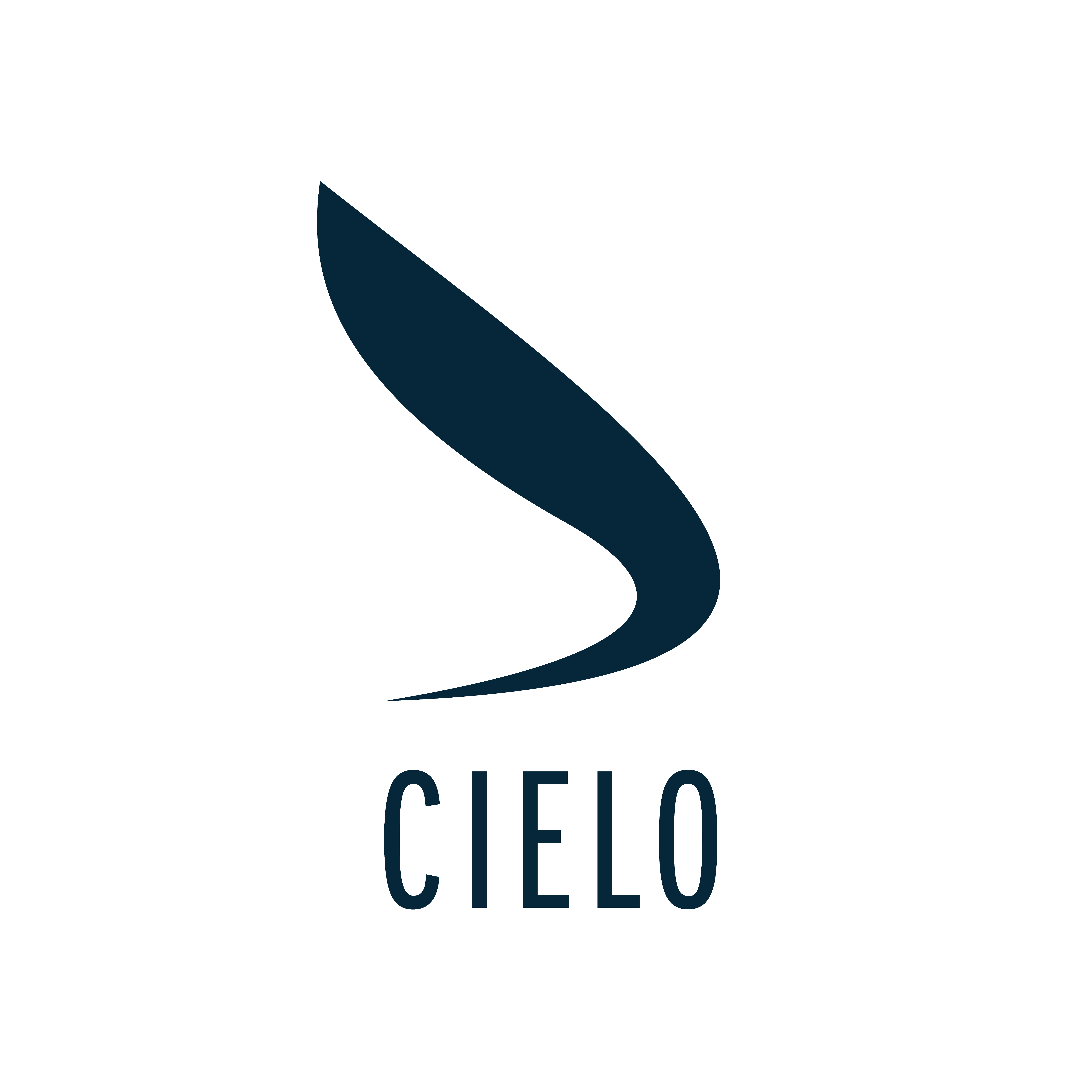 A logo with a stylized letter